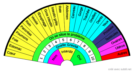 Anatomie organes 