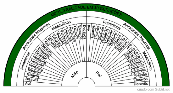 Ancestralidade em 10 gerações