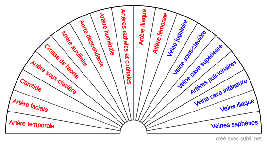 Le système circulatoire