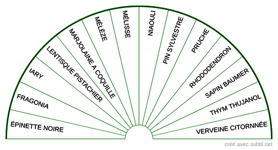 Huiles essentielles - 4ème Chakra