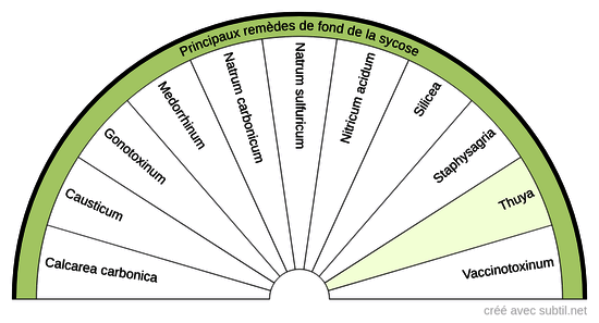 Diathèses homéopathiques - 5 (Sycose)