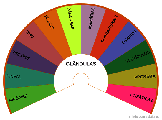 Glândulas