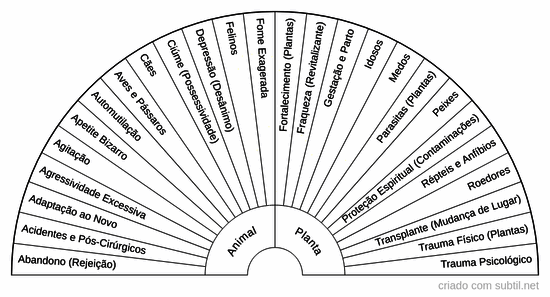 Essências de Cristais de Oz - Fauna e flora