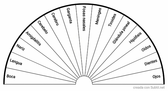Diagnóstico área de cabeza y la garganta 