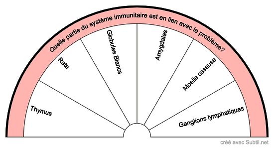 Système immunitaire