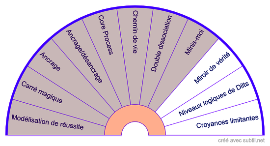 Les techniques PNL et compléments