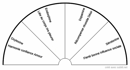 Hormones du bonheur