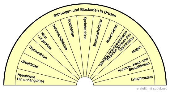 Störungen und Blockaden in Drüsen