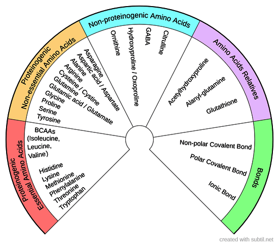 Amino Acids