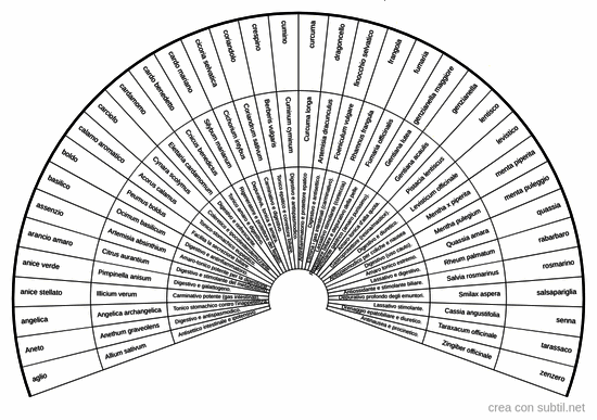 Piante ed erbe fitoterapiche 1