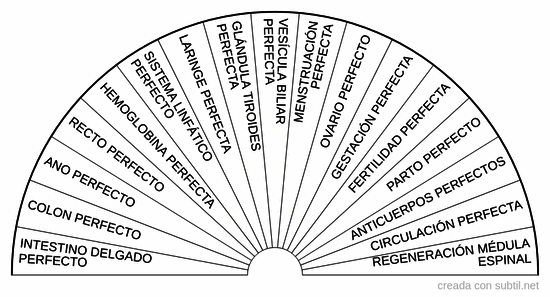 Anatomía 2 - Etiquetas P.H.