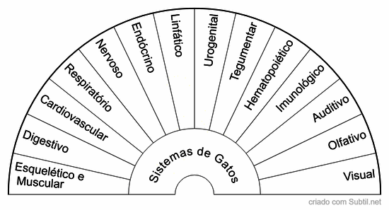 Sistemas de gatos
