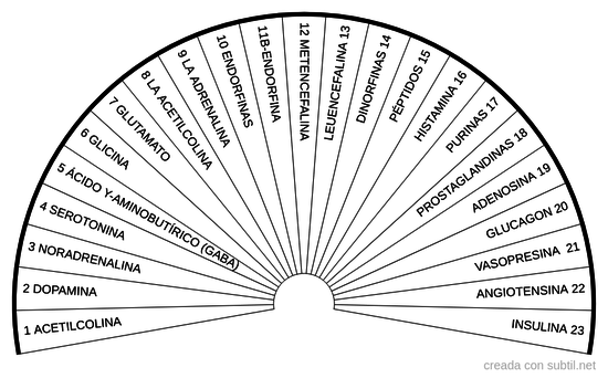 Neurotransmisores