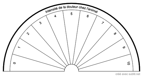 Intensité de la douleur chez l'animal