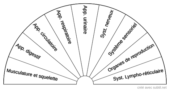 CHAT : Systèmes et appareils 