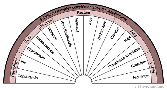 Diathèses homéopathiques - 12 B (Cancérinisme)