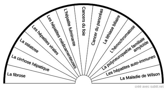 Les Maladies du Foie et des Voies Biliaires