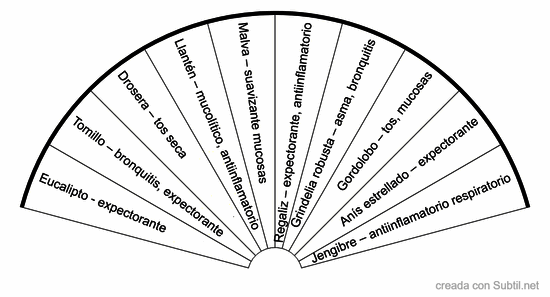 Plantas medicina pulmones