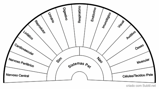 Sistema desequilibrio  - pet