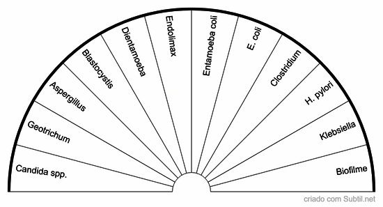 Oportunistas intestinais