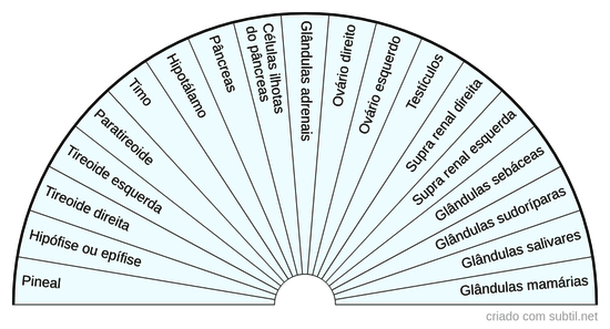 Glândulas endócrinas