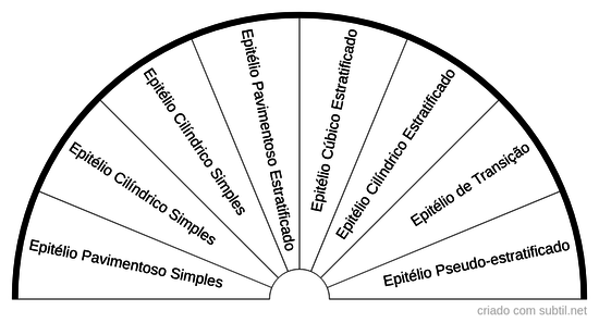 Tecido Epitelial