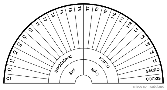 Coluna vertebral