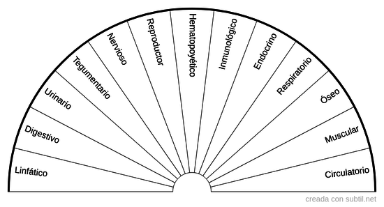 Sistemas del cuerpo humano