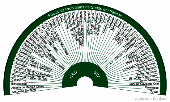  saúde - possíveis problemas de saúde em felinos