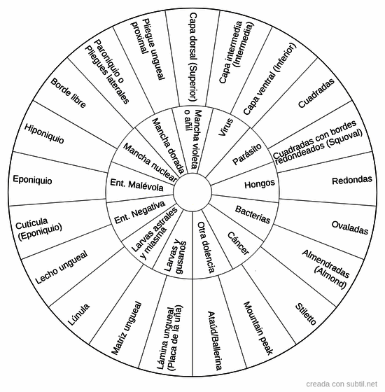 Lista completa de las uñas