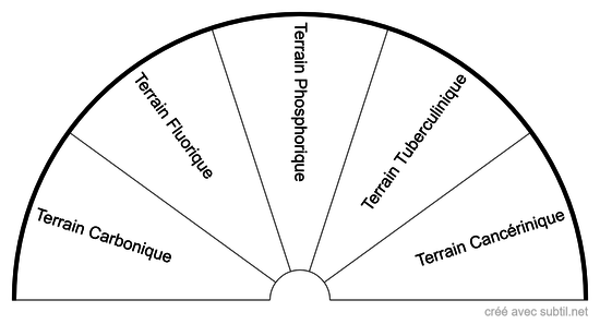 Terrain d'un être vivant