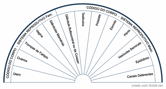 Código do corpo - sistema reprodutivo