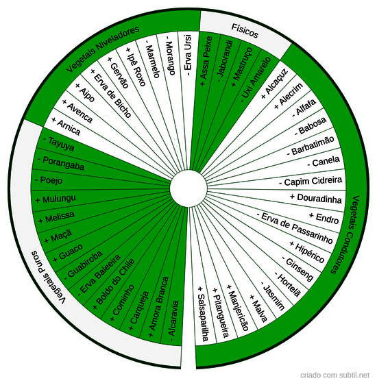 Vegetais chakra 4 = cardíaco