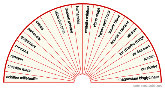 Inflammation chronique