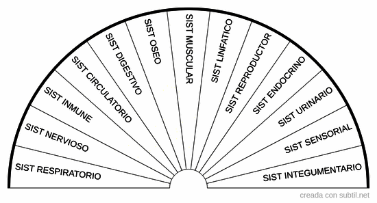 Sistemas del cuerpo humano