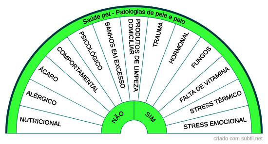 Saude pet - patologias de pele e pelo