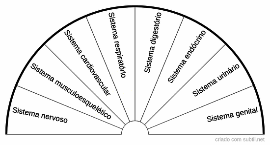 Sistemas do corpo humano