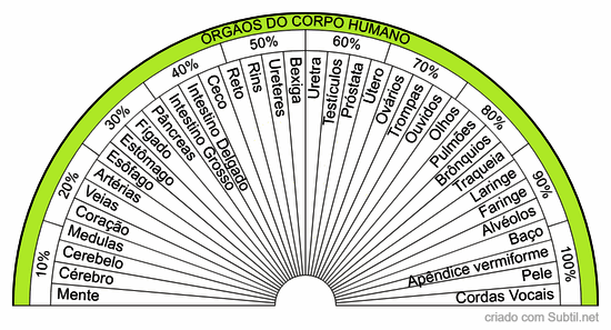 Órgãos do corpo humano