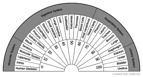 Systems of the Body #1