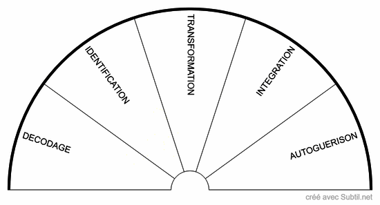 Les 5 phases de guerison
