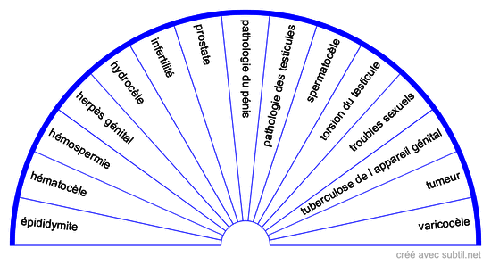 Maladie appareil génital homme