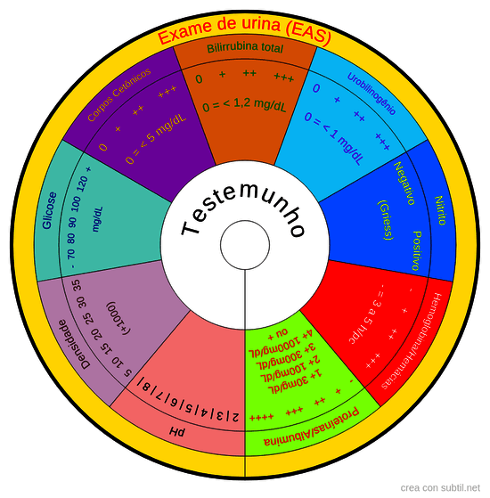 Exame de urina rotina (EAS)