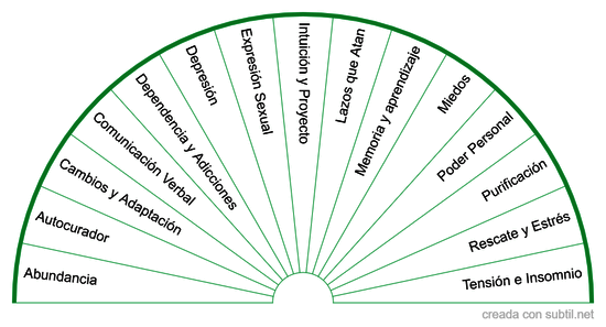 Elixires Aztecas de Remedios Combinados