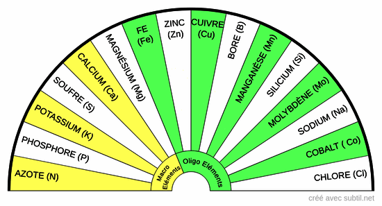 Composants des végétaux