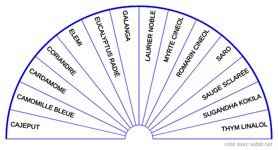 Huiles essentielles - 5ème Chakra