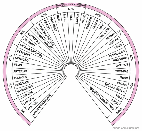 Órgãos do corpo humano