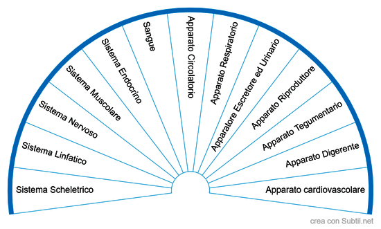 Sistemi e Apparati Umani Biologici