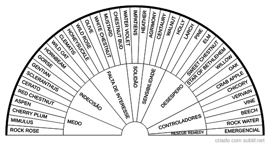 38 Florais de Bach + Emergencial