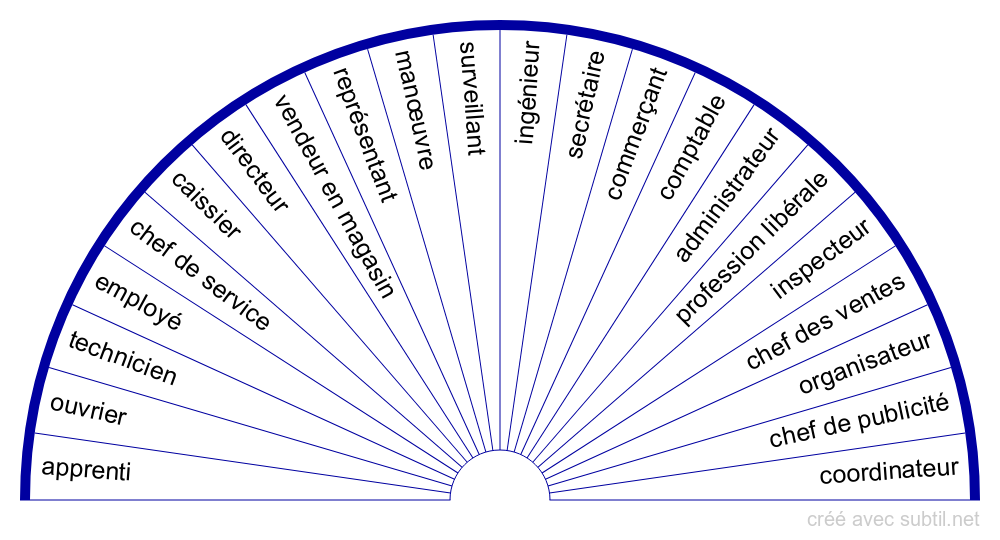 subtil-biom-tre-aptitudes-professionnelles