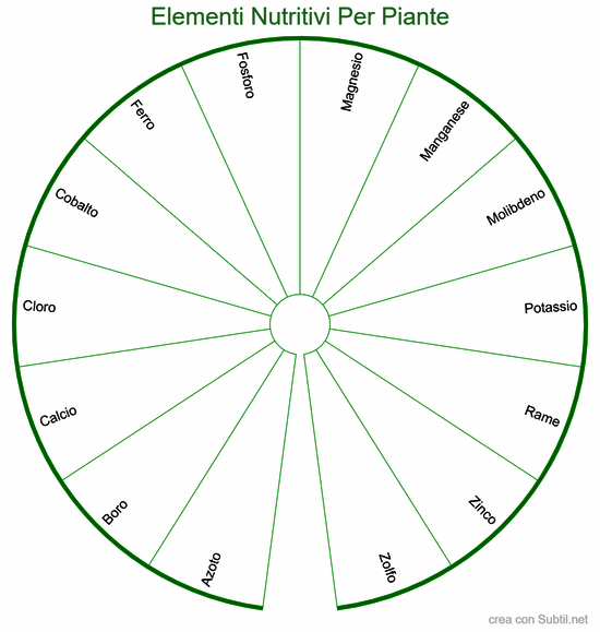 Elementi nutritivi per piante